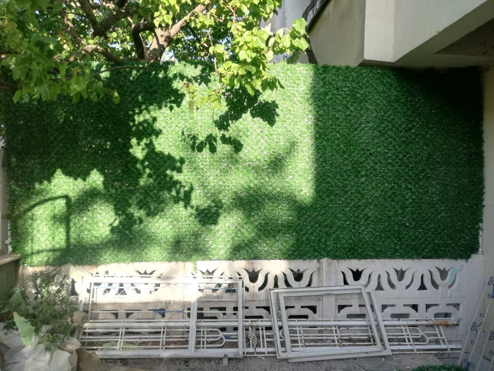 ÇİMÇİT
